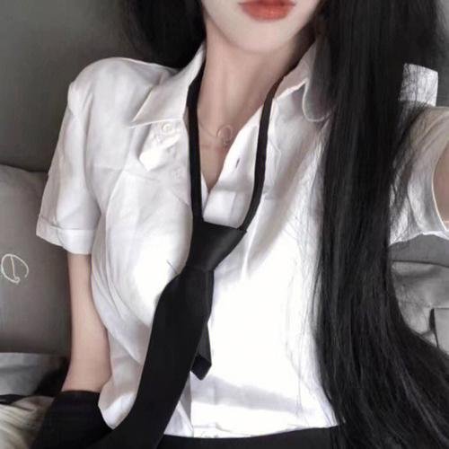 鲨鱼海豚浴血战